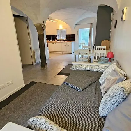 La Petite Ourse #terrasse#vulcania Apartamento